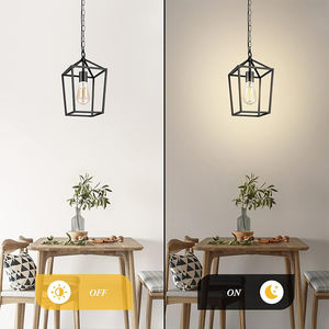 Boerderijstijl zwarte vierkante hanglamp, industrieel, verstelbare hoogte, ijzeren kooilamp met 60W 3500K warmwitte E27 fitting - Product Image 2