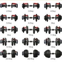 Haltères réglables en acier inoxydable 525 lb (24 kg) pour hommes – Équipement de fitness à domicile pour entraînement intensif et musculation combinée