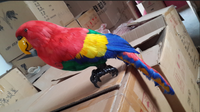 Oiseau artificiel, perroquet volant, oiseau de la jungle et plume de perroquet, fourrure d'animal réaliste, modèle en plastique