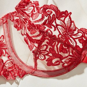 Set di Lingerie da donna di san valentino rosso con ricamo a fiori in pizzo Sexy Set di reggiseno elegante anello in acciaio Push Up Br - Product Image 2