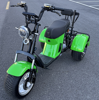 Scooter Eléctrico de Tres Ruedas, Plegable, con GPS, Batería de Litio Impermeable, Canasta Grande, Alta Capacidad de Carga 330kg, Citycoco