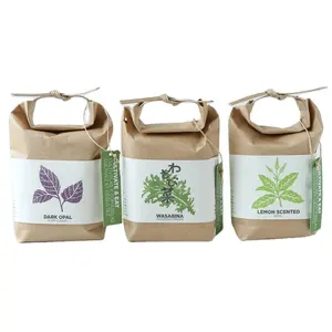 Compostable 2 ply kraft bag with string tie handle for rice, wheat flour , tea leaves,powders,seed packaging