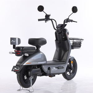 Bicicleta Eléctrica Nueva de 350W con Motor Trasero, 3 Velocidades, Cuadro de Acero, Batería de Plomo-Ácido, 60 km de Autonomía, Diseño de Dos Ruedas, Electrónica Inteligente - Product Image 1