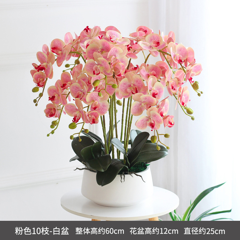 White basin with pink orchid