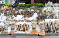 Machine à glace en flocons automatique, équipement de fabrication de glace à basse température pour la recherche scientifique en laboratoire, les expériences alimentaires et biologiques