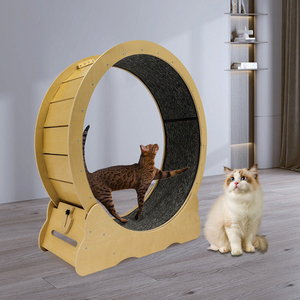 Jouet en bois écologique pour chat Roue d'exercice pour animaux de compagnie Circle Track Cat Wheel Exerciseur Cat Treadmill Material Handling - Product Image 1