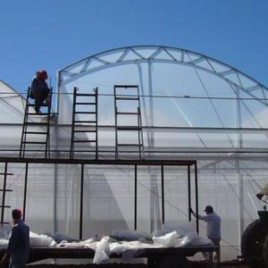 Nông nghiệp nhựa trong suốt CuộN <span class=keywords><strong>PE</strong></span> nhựa bảo vệ <span class=keywords><strong>UV</strong></span> kháng nhà kính phim - Product Image 4