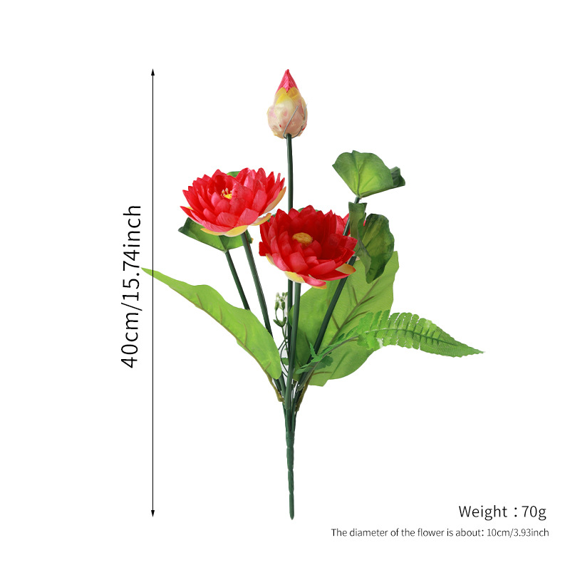 Lotus à neuf têtes (rouge pastèque)