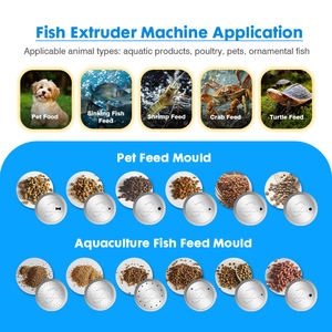 Máquina <span class=keywords><strong>de</strong></span> Alimentos Flotantes para Peces, Perros, Poodles, Bichón Frisé, Gatos Ragdoll, Gatos Siamés, <span class=keywords><strong>Precio</strong></span> <span class=keywords><strong>de</strong></span> Fábrica - Product Image 6