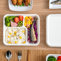 Boîtes à clapet biodégradables et compostables jetables en 90 jours, emballage à emporter, 3 compartiments, boîte à repas, boîte tiffin
