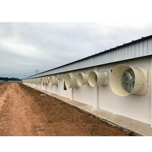 Prefab geconstrueerde pluimveestal voor vleeskuikens, stalen constructies - Product Image 3