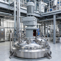 Mélangeur de liquides automatique en acier inoxydable industriel pour réacteur chimique, agitateur à cisaillement élevé, capacité personnalisable