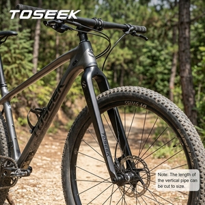 Fourche rigide en carbone <span class=keywords><strong>TOSEEK</strong></span> pour conversion de vélo de montagne en vélo de route 26/27.5/<span class=keywords><strong>29</strong></span> pouces 100x9mm QR Fourche de vélo de montagne en carbone 28.6mm tige droite - Product Image 1