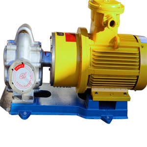 Pompe à engrenages magnétique sans fuite en acier inoxydable KCB-300, pompe à engrenages circulaire pour alimentation chimique et huile YCB-4/0.6, pompe à engrenages KCB-300 - Product Image 2