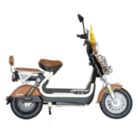 Moto électrique sportive 1500W 60V, vitesse maximale 50km/h, moteur moyeu arrière, cadre en acier au carbone, frein à disque, Guangdong