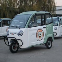 Tricycle électrique entièrement fermé pour adultes, scooter de mobilité à 3 roues, tricycles électriques chinois pour adultes sans permis