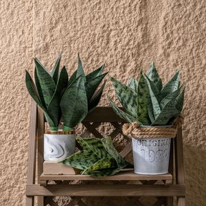 Planta Artificial de <span class=keywords><strong>Sansevieria</strong></span> con Hojas Verdes de Imitación de Serpiente CL20002 para Decoración de Interiores de Oficina <span class=keywords><strong>en</strong></span> Casa, Regalos de Inauguración - Product Image 2