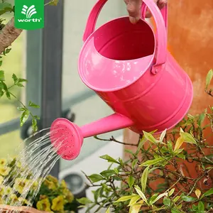 Customized Plant Spray Kids Garden Small Metal Indoor Watering Can For Plants