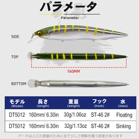 Leurre de pêche D1 Jerkbait 160 mm 30 g flottant pour la pêche au brochet en mer, leurre coulant pour la pêche au thon