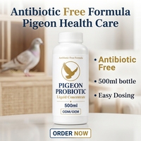 Additif Probiotique Liquide Concentré 500ml pour l'Eau Potable des Pigeons – Soin Quotidien Personnalisé pour l'Hygiène Intestinale des Pigeons de Course, d'Élevage et de Compétition