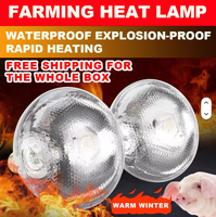 Lampes pour volailles 100/150/250W, étanches, IR, anti-explosion, verre de quartz, 2700K, faisceau 360°, lampes chauffantes pour animaux, pour poulailler