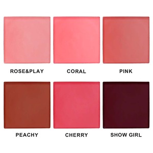 Palette Blush Personalizzata Opaca con Etichetta Privata OEM, Blush Cremoso Impermeabile con Finitura Duratura, Vegano e Cruelty-Free, 6 Colori - Product Image 3