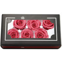 Vente en gros en Chine, lot de 6 roses éternelles de qualité A, 100% conservées, 5-6 cm, boîte à ombre pour cadeau de Noël