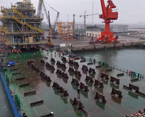 Rinforzi Integrati per Pavimenti e Rinforzanti per Condizioni di Carico Localizzato ad Alta Intensità - Product Image 6