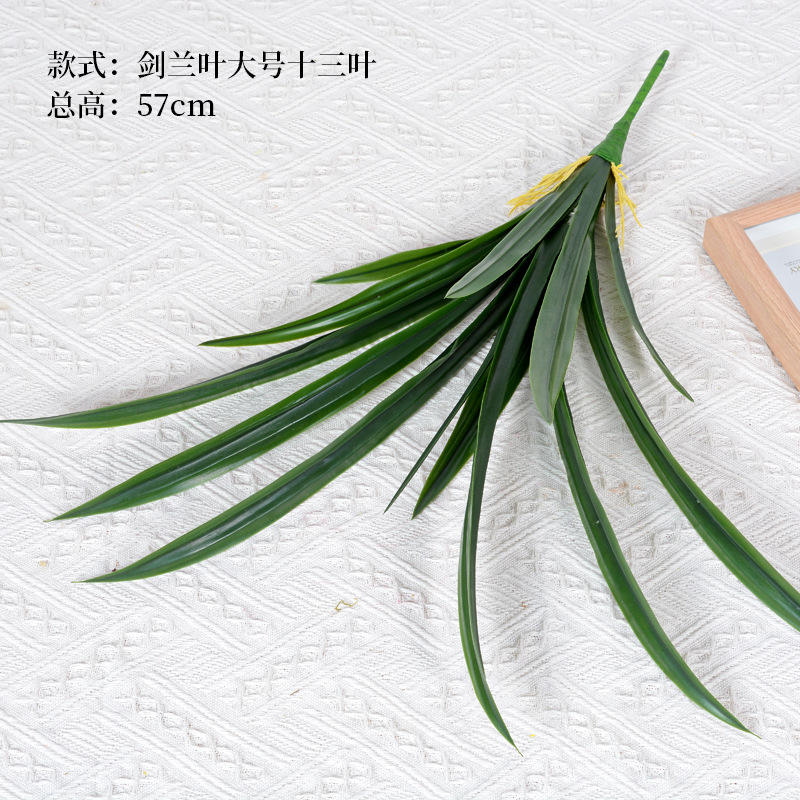 Gypsophila grande taille treize feuilles