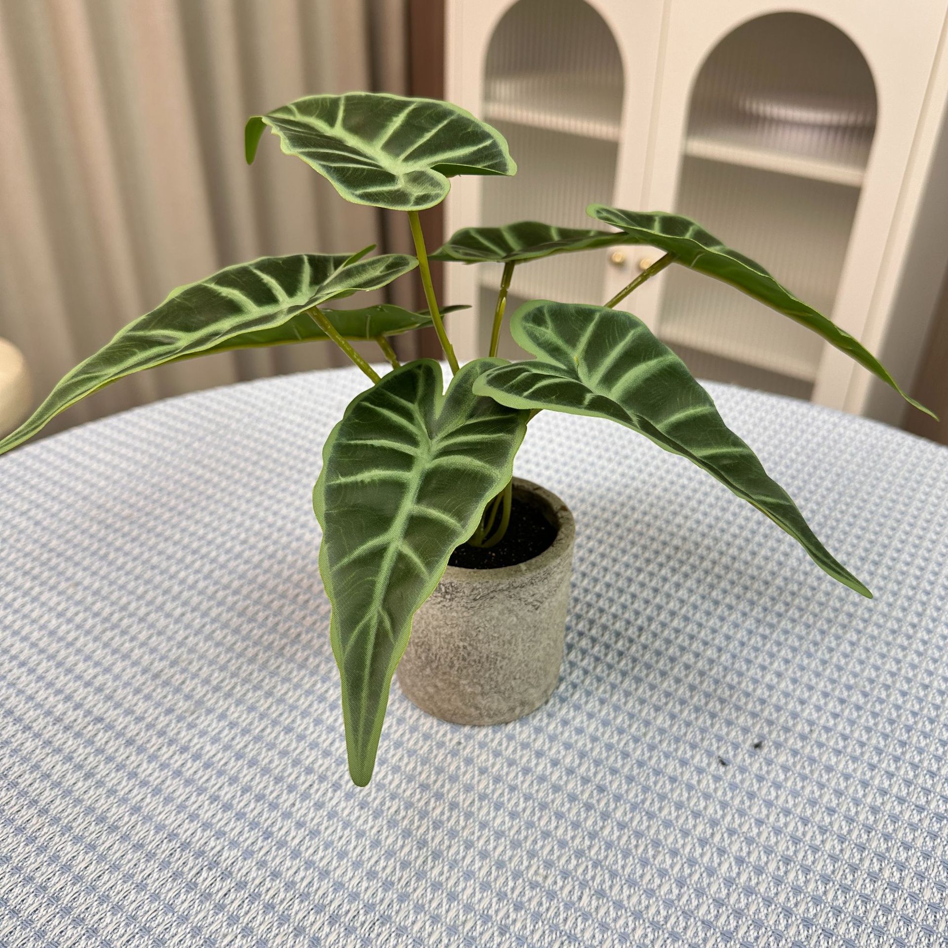 Petite plante en pot de taro féerique de 20 cm, sensation de main