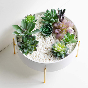 Nuovo <span class=keywords><strong>Vaso</strong></span> per Bonsai <span class=keywords><strong>in</strong></span> Ceramica <span class=keywords><strong>da</strong></span> 10 Pollici con Drenaggio, Rotondo, Effetto Marmo, per Cactus, <span class=keywords><strong>Fiori</strong></span> e Piante, <span class=keywords><strong>Vaso</strong></span> Decorativo per Casa e Giardino - Product Image 6