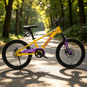 Bicicletta da 20 pollici per <span class=keywords><strong>bambini</strong></span> di buona qualità, mountain bike, confezione in cartone AB, bici sportiva - Product Image 6