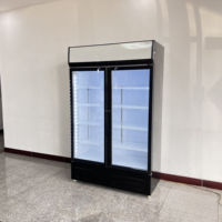 Réfrigérateur à porte vitrée Subzero pour supermarché, congélateurs