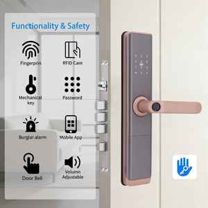 Serrure <span class=keywords><strong>de</strong></span> porte intelligente numérique TTlock en alliage d'aluminium à empreinte digitale, avec cloud et carte mémoire, pour portes en bois/acier – Vente chaude - Product Image 2