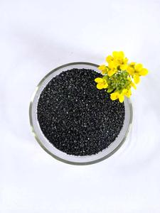 Sản phẩm phân bón sinh học Natri humate - Product Image 2