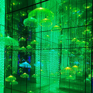 <span class=keywords><strong>Labyrinthe</strong></span> de miroir aire de jeux intérieure et extérieure parc d'attractions <span class=keywords><strong>labyrinthe</strong></span> de miroir à vendre - Product Image 6