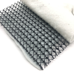 <span class=keywords><strong>HDPE</strong></span> <span class=keywords><strong>geocomposite</strong></span> lưới thoát nước cho đường hầm hoặc đập nước mưa lưới thoát nước - Product Image 2
