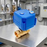 Vanne à boisseau sphérique motorisée électrique en laiton 2/3 voies 12/24V, protection IP65, couple 2,5 Nm, contrôle automatique du débit, OEM