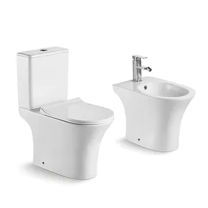 现代浴室陶瓷疏水阀疏水阀两件式卫生间设备，带落地式卫生间坐浴盆