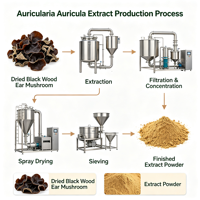 Auricularia Auricula Extract Poeder Zwarte Oorzwam Extract Polysacchariden 10%-50% Bulk Grondstof Leverancier