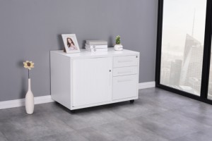 Storage Unit for Home Office KD Structure Steel Password-protected Mobile Cabinet with File Folder and Hanger <b>Desk</b> - Product Image 5