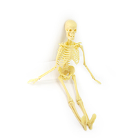 Modelo de Esqueleto Humano Wincent, Miniatura Anatómica con Articulaciones, Ayuda Didáctica para Biología, Regalo Educativo para el Aula