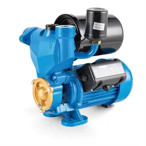 Wzb Self-priming Booster Pump Automatic Control