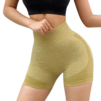 2024 Logo personnalisé Fitness Butt Lift Leggings serré taille haute entraînement sans couture course et cyclisme Yoga pantalon pour les femmes