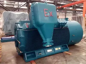 Motor Asíncrono Trifásico de Alta Calidad, 6KV 10KV 160KW-2240KW, Inducción CA, Alto Voltaje, a Prueba de Explosiones, YX3 - Product Image 3
