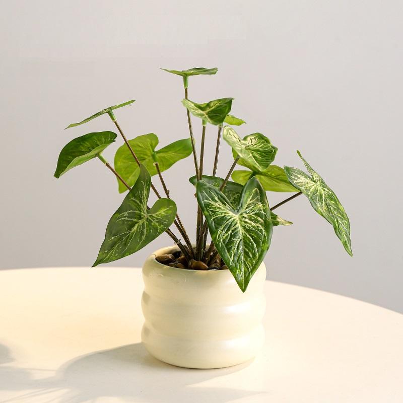 #6 green (Calla Lily)