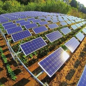 Nhà Cung Cấp Tấm Pin Năng Lượng Mặt Trời Pv Siêu Năng Lượng Mặt Trời Mô Đun Đa Tinh Thể 300W Tại Philippines - Product Image 4