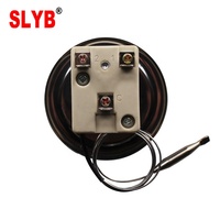 Thermostat capillaire en fer pour incubateur d'œufs, panneau de commande, chauffe-eau à gaz, four, bouton de commande, thermostat capillaire en plastique SLYB Commercial 220V Sûr WHD-300B
