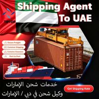 Agente de Transporte Marítimo en Emiratos Árabes Unidos, Puerto de Fujairah, Logística de Envío, Seguimiento de Paquetes, DDP, Transporte Aéreo Express