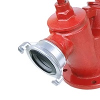 Bouche d'incendie à double sortie pour équipement de lutte contre l'incendie Accessoire de prix d'usine